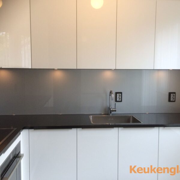 Lichtgrijs metallic keuken achterwand RAL 9006