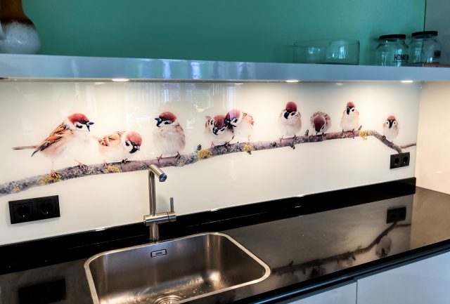 Keuken spatwand met fotoprint van vogeltjes